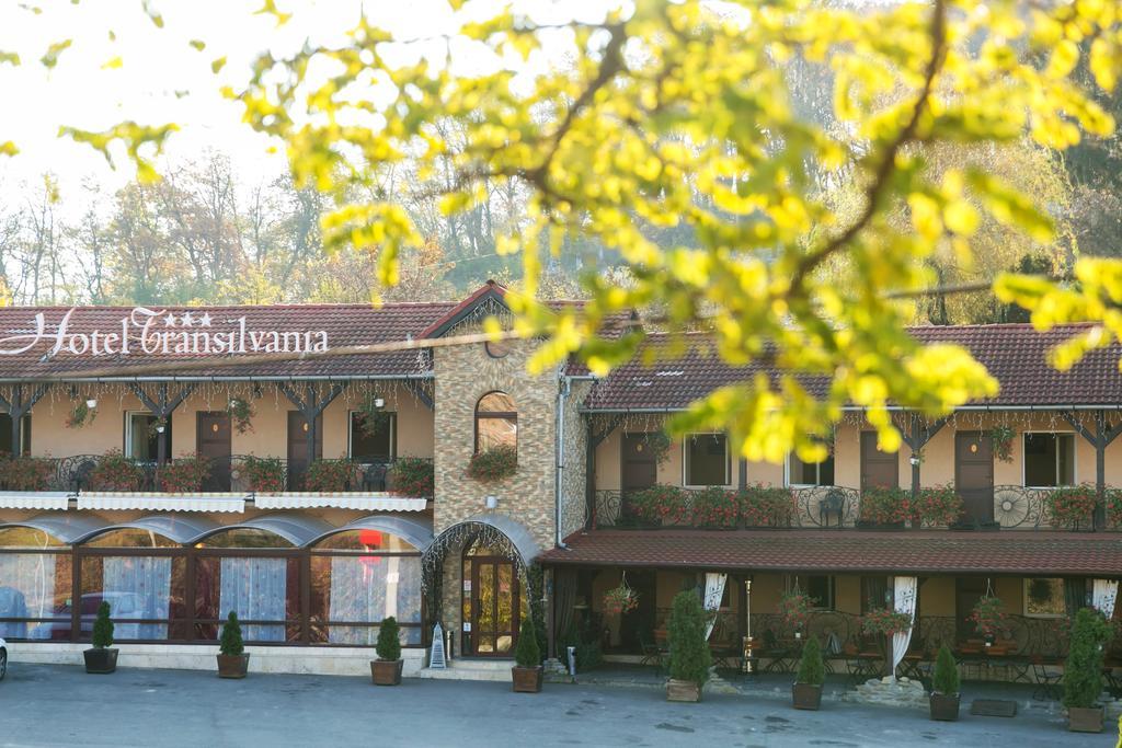 Hotel Transilvania Sighisoara
